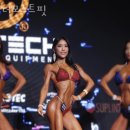 더모스트핏 이미지