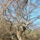 파주2리 이미지