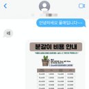 풀애 이미지