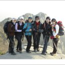 비봉농원 이미지