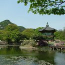 홍천댁