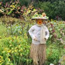 가을이 다가기 전 넓은 들에 혼자 열일하는 허수에미(?)를 소개합니다~~~☆ 이미지