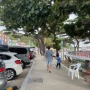 이마트24 강화동막해변 이미지