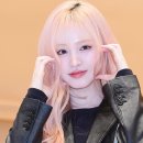 리즈볼