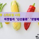 대 물류 스타트업 시대 – 마켓컬리 ‘신선물류’ ‘샛별배송’