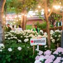 신대호 축사 이미지