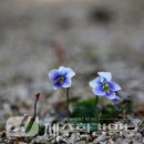 종지농장 이미지