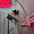 베스트신경외과의원 이미지