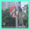 주차장반사경 설치 차량출입구 사각지대 줄이기