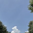 산골산장 | 여름휴가 최고의 피서지 &#39;산골산장&#39; 평상 예약 방법과 주차