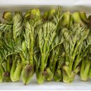 원순농장 이미지