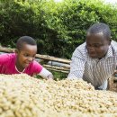 첼바 - 이천시 현방로 77-1 | 첼바