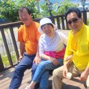 흥도초교 이미지