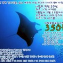 2월 9일 다합도착예정, 오픈워터+어드밴스드 패키지 다이브 코스/시나이산/다합 호텔 이미지