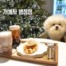 병점애견동반카페 가배차 크로플먹은 후기