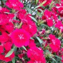 은석캠핑장 이미지