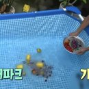 생닭집 이미지