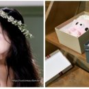 문어이야기 이미지