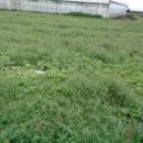 서귀포지방법원 이미지