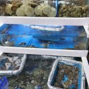 하남오징어물회 이미지