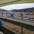 역사관주차장(신) | 서울근교 강원도 횡성 가볼만한 곳 안흥 찐빵축제 후기