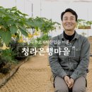 장촌농장 | 은행나무로 6차산업을 이룬 마을자치사업 활성화, 충남 보령 청라은행마을