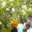 말미농장 이미지