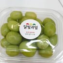 달빛과일 동탄점 네이버블로그