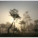 아름다운 아침 이미지