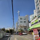 서울동물병원 | 서울 마포구 키다리 동물병원 후기ㅣ고양이 뇨끼 1살 기념 건강검진