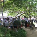 동산(중방) 이미지