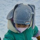 우리강아지 이미지