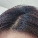 검은머리 | 헬로버블 애쉬블랙 셀프염색 후기 : 뿌리 검은 머리 발색 비포애프터