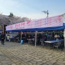 23.04.01~02 봉숫골 꽃나들이 축제 이미지