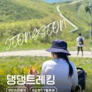 댕댕회관 | 댕댕트레킹 2025 일정 숙소 작년 참가자 꿀팁까지 놓치지마세요!
