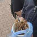 서울경기건어물 이미지