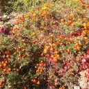 압구정초등학교 이미지