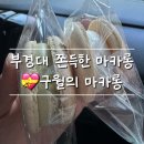 마카롱 | 구월의 마카롱 솔직후기 | 🍪부경대/경성대 마카롱 맛집 | 꾸덕꾸덕 달콤함!