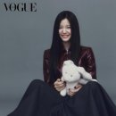 보그 이미지