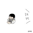 콩깍지 이미지
