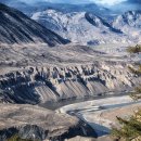 페이션츠 카카오 검색결과