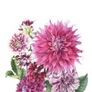 힐링 꽃과 식물 세밀화 이미지