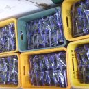 구실농장 이미지