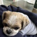 김쉐프제빵소 이미지