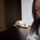 pet56고9166 | [북한산/우이동] 가족여행으로 좋은 파라스파라 서울