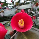 원항목 입구 이미지