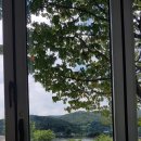 에브리선데이커피 본점 이미지