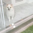 원미용실 이미지