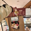 37 | 글로우37 Glow37 쁘띠케이크 의정부신세계 팝업 11.28~12.04