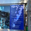 뚝도시장 1번 이미지